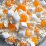 Orang Creamsicle Fluff Salad