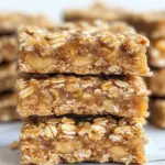 3 Ingredient Apple Oatmeal Bars